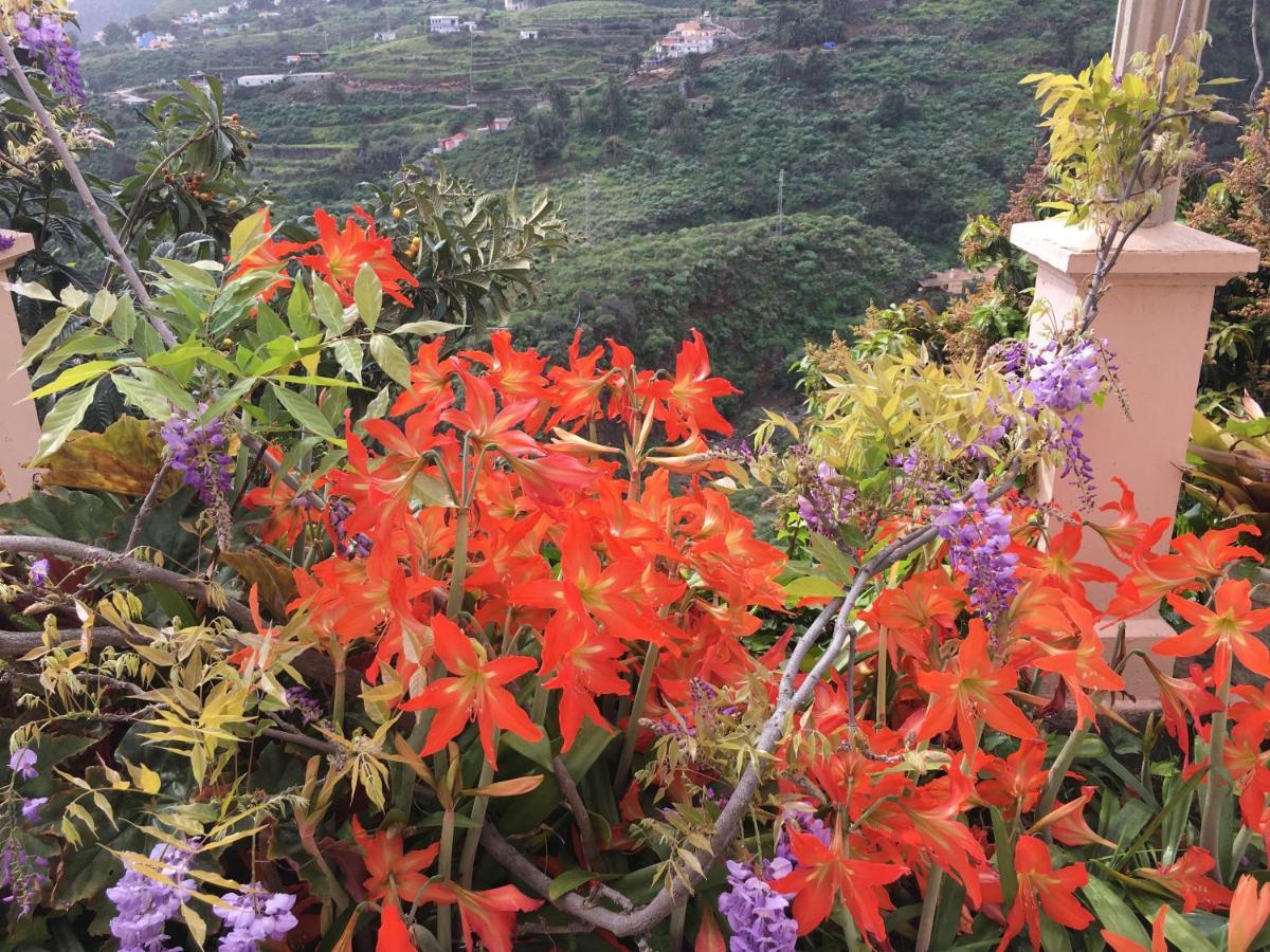 Villa Casa Ayane Santa Cruz de la Palma  Esterno foto